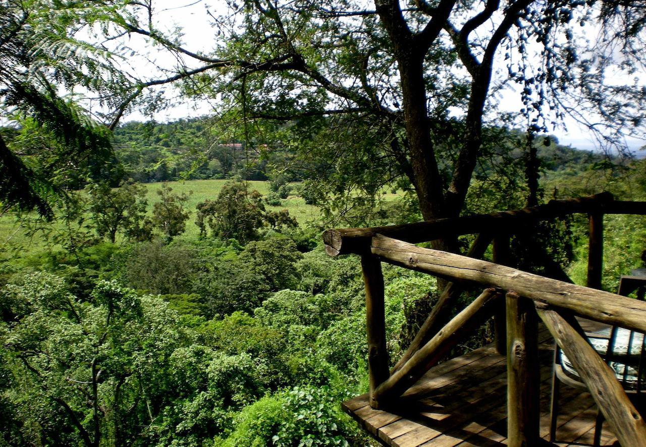 Kigongoni Lodge Arusha Nkoanrua Exterior photo