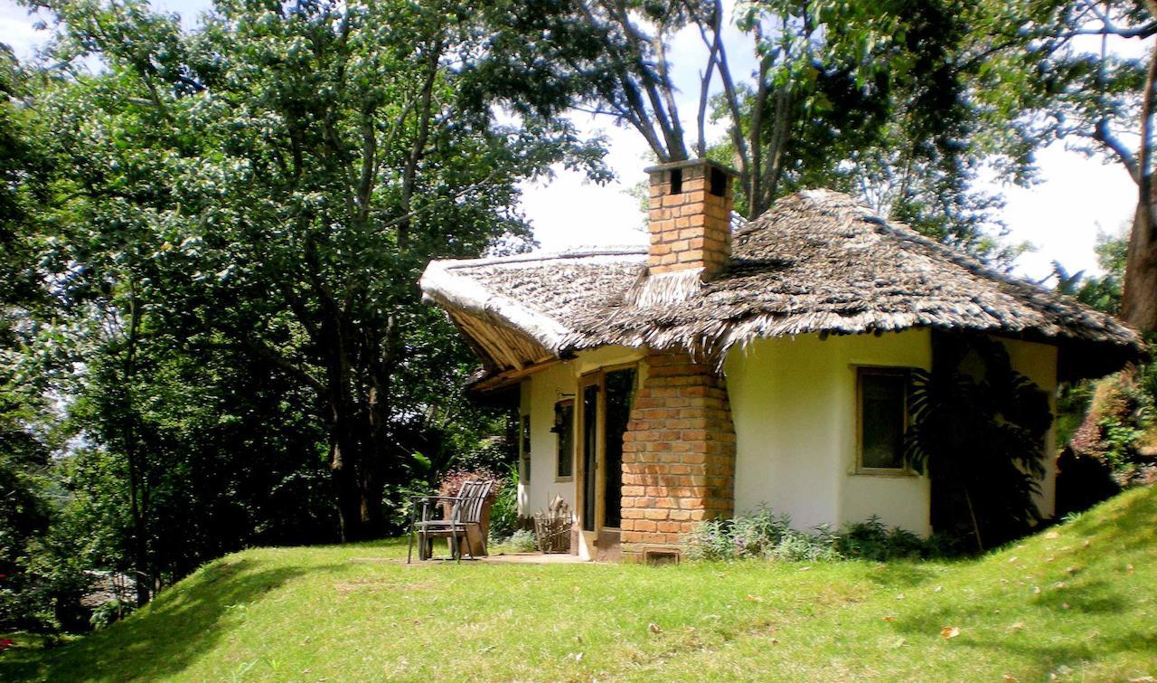 Kigongoni Lodge Arusha Nkoanrua Room photo