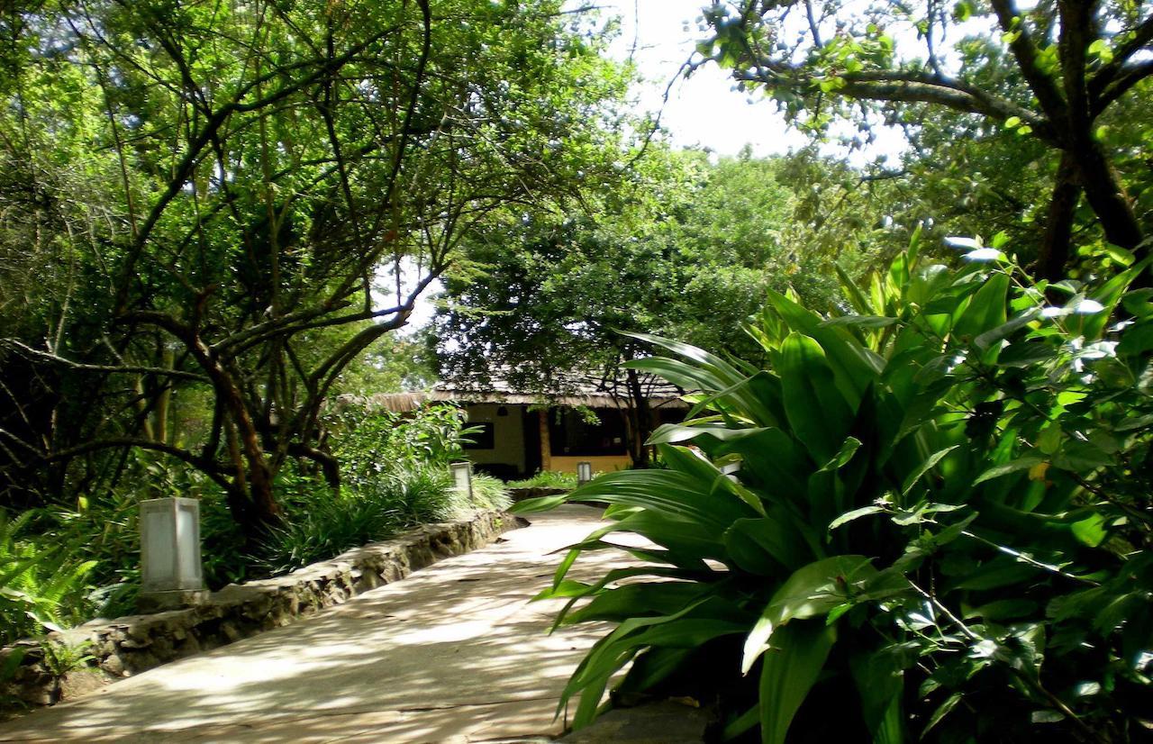 Kigongoni Lodge Arusha Nkoanrua Exterior photo